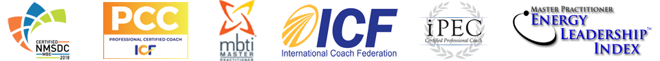 Credentials-WEB-BANNERupd'dsmaller Fly High Coaching Credentials
