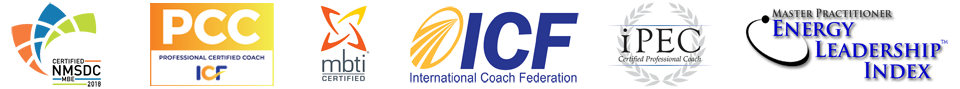 Credentials-WEB-BANNERupd'dsmaller Fly High Coaching Credentials